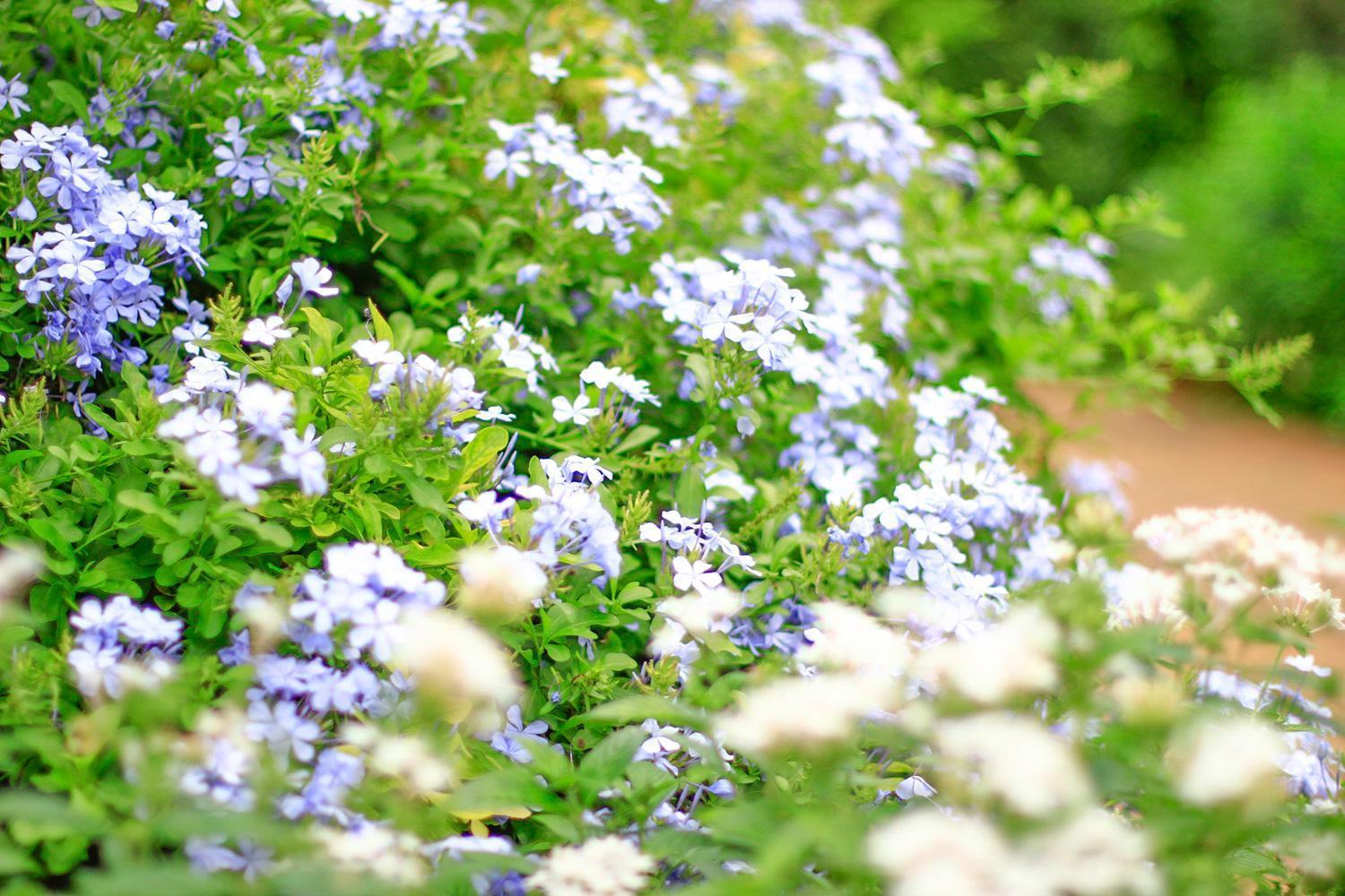 Pottery Flower B&B Jiji Exteriér fotografie